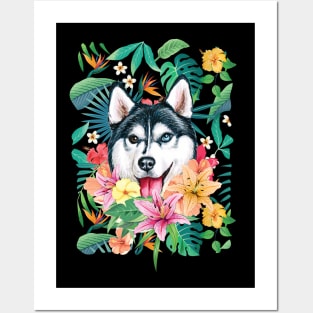 Tropical Siberian Husky 5 Posters and Art